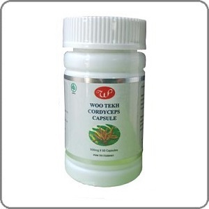 Cordyceps Capsule